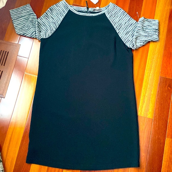 LOFT Dresses & Skirts - Ann Taylor loft fall dress size 12 - NWT